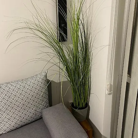 A Hidden Gem In Citys Heart Apartment